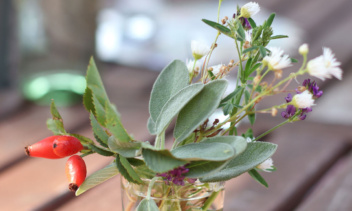 Kleine Blumenvase mit Hagebutte, Salbei und Blümchen.