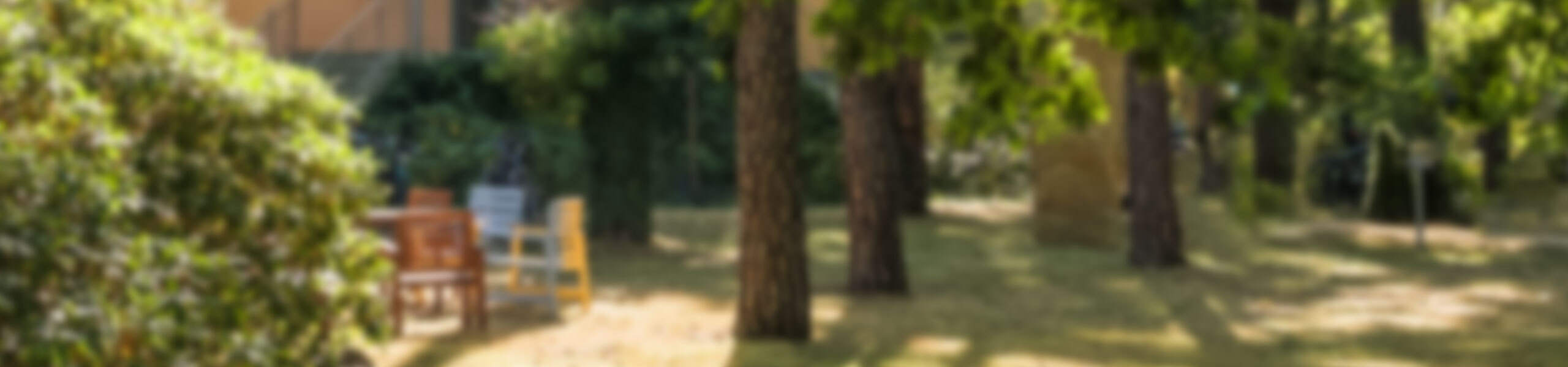Weichgezeichnetes Bild des Garten am Büro