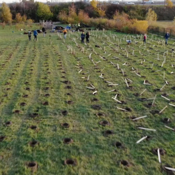Ein Feld, auf dem gepflanzt wird.