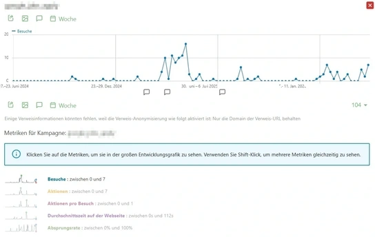 Matomo-Interface mit der Statistik einer Einzelkampagne und dessen Performance-Graph