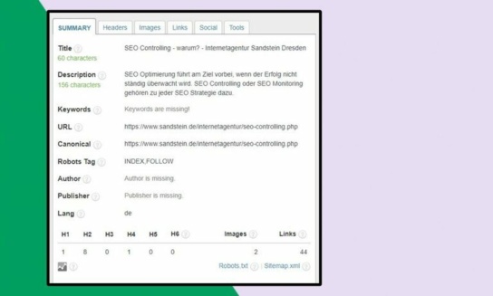 Screenshot: Erweiterung SEO Meta in 1 Click, Tab Summary