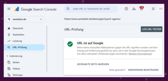 Screenshot zu Indexierung beantragen