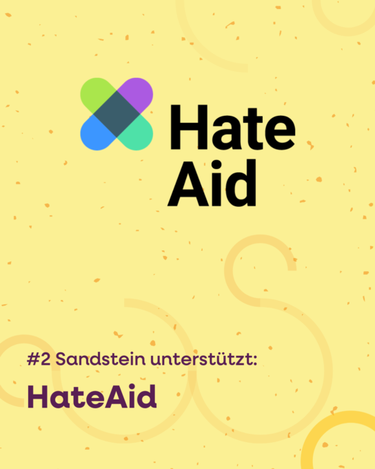 Logo von Hate Aid