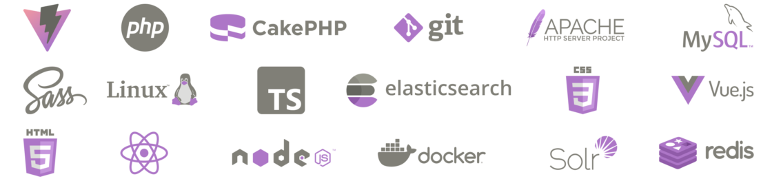 Logos von Linux, Apache, MySQL, Node.js, Typescript, Vue.js, React, PHP, CakePHP, Git, HTML5, CSS3, SASS, Vite, Solr, Redis, Elasticsearch, Docker