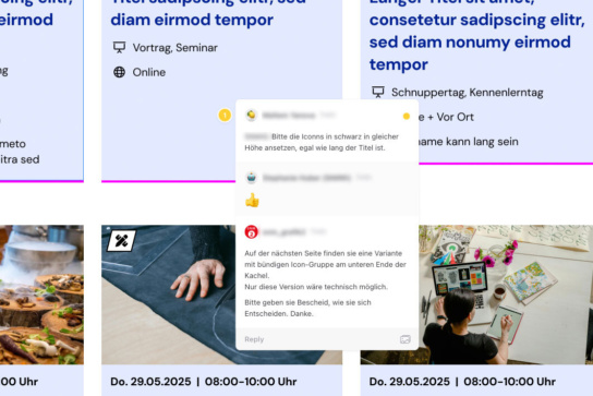 Screenshot: Tool Zeplin - Feedback vom Kunden