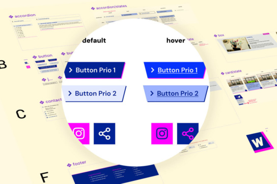Collage: Auszug aus einem Styleguide mit Fokus auf die Komponente "Button"