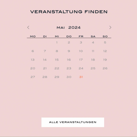 Screenshot: Startseite meissen-erleben.de