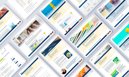 Collage: Screenshot DVV Website