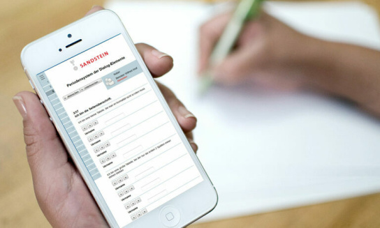 Grafik: Hand bedient Handy mit Sandstein Website