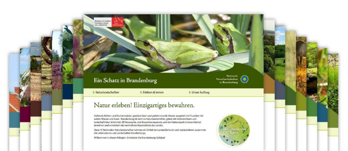 Grafik: Website von Nationale Naturlandschaften in Brandenburg