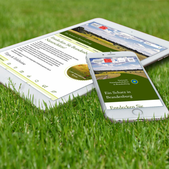 Grafik: Tablet und Smartphone mit Website Naturlandschaften