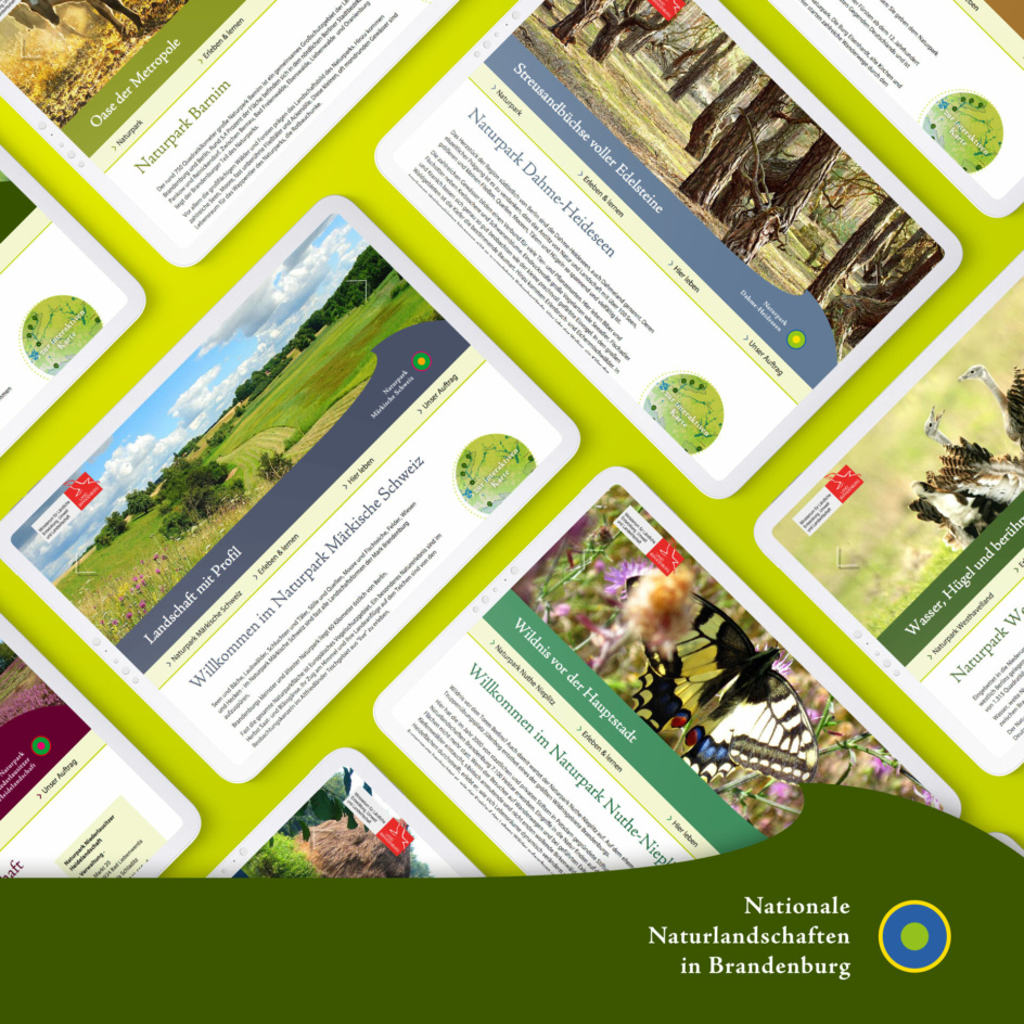 Grafik: Tablets mit Website Naturlandschaften