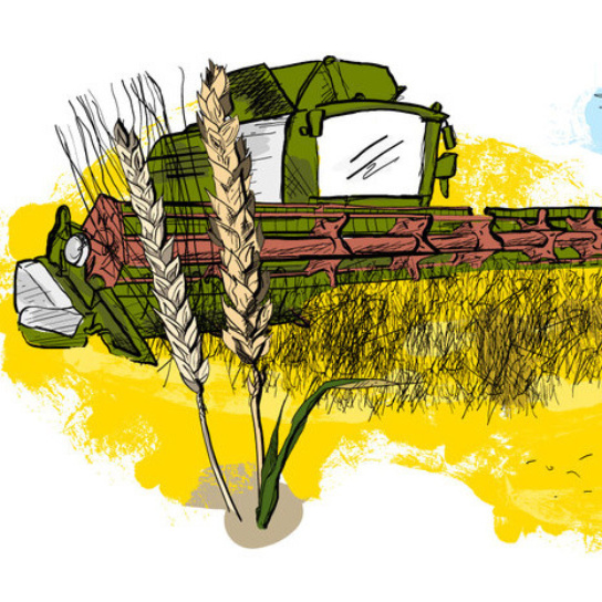 Illustration: Maehdrescher in Feld