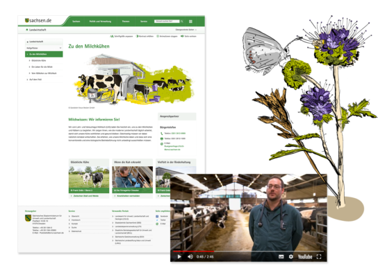 Grafik: Website von sachsen.de mit YouTube-Video und Illustration