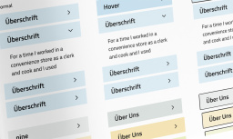 Screenshot: Styleguide Vorgaben Akkordion
