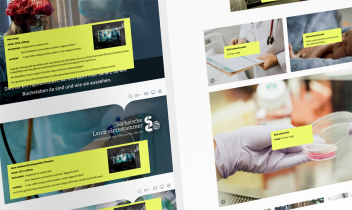 Screenshot: Styleguide Vorgaben Bilder