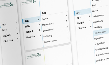 Screenshot Styleguide: Vorgaben Navigation