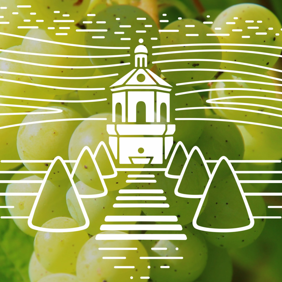 Grafik: Schloss Wackerbarth mit Hügeln im Hintergrund