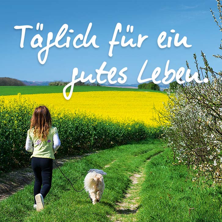 Täglich für ein gutes leben, 88 positive Sprüche + 22 motivierende