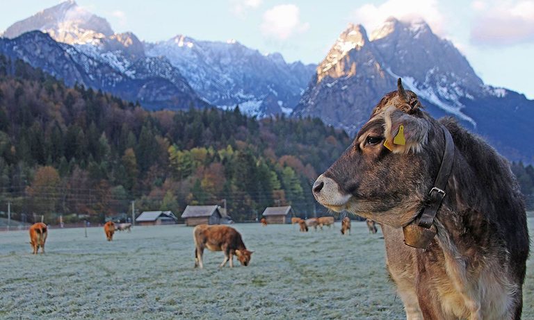 langfristige touristische Vermarktung der Zugspitzregion langfristige touristische Vermarktung der Zugspitzregion