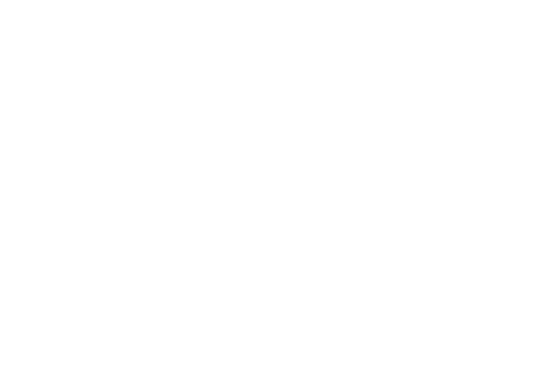 Unsere Stärken Grafik: Pfeil zeigt in die Mitte einer Zielscheibe.