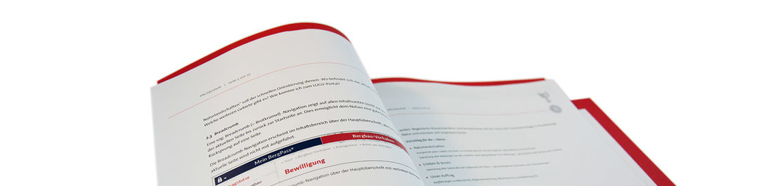 Konzeptionelle Anforderungen im Pflichtenheft Konzeptionelle Anforderungen im Pflichtenheft