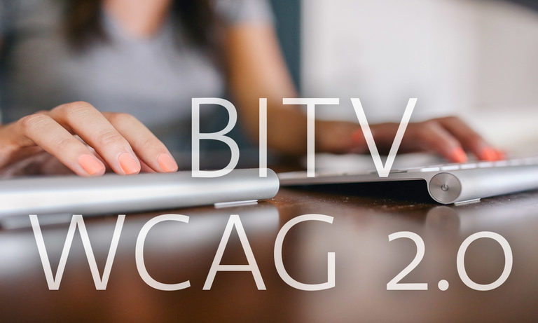 Richtlinien zur Barrierefreiheit von Webseiten Anerkannte Standards zur Barrierefreiheit sind Web Content Accessibility Guidelines 2.0 sowie die Barrierefreie Informationstechnik-Verordnung
