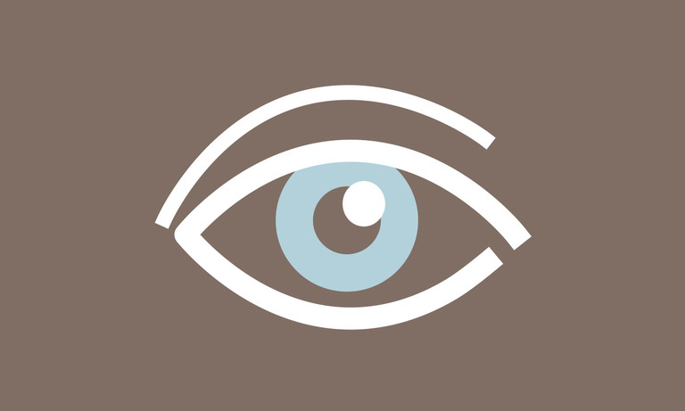 Erstes Prinzip der Barrierefreiheit ist die Wahrnehmbarkeit. Eine barrierefreie Webseite muss auch für Menschen mit Behinderung gut wahrzunehmen sein.