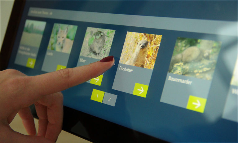 Sandstein als Multimedia Agentur realisierte ein interaktives Lexikon zum Thema Natur und Wildnis Sandstein als Multimedia Agentur realisierte ein interaktives Lexikon zum Thema Natur und Wildnis