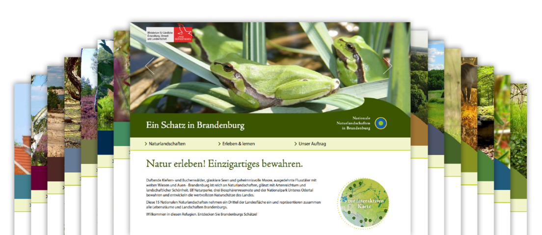 Grafik: Website von Nationale Naturlandschaften in Brandenburg