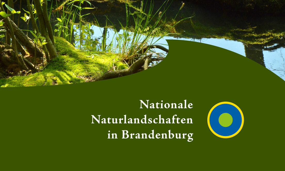 15 Webportale im Auftrag des Landesamtes für Umwelt in Brandenburg