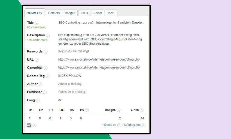 Screenshot: Erweiterung SEO Meta in 1 Click, Tab Summary