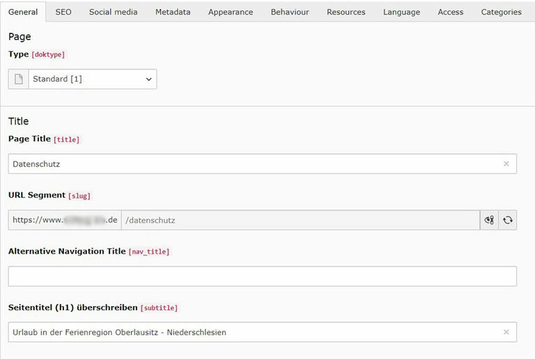 Screenshot: URL und H1 in TYPO3 pflegen
