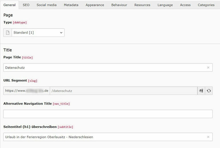 Screenshot: URL und H1 in TYPO3 pflegen